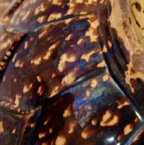 Lhm W.1976.2230 (5) Edited